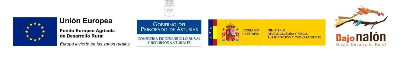 Logotipos de FEADER, Principado de Asturias, Gobierno de España y Grupo de Desarrollo Rural Bajo Nalón